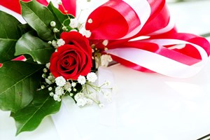 How_to_Care_for_Roses