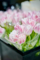 sympathy_bouquet_of_pink_tulips